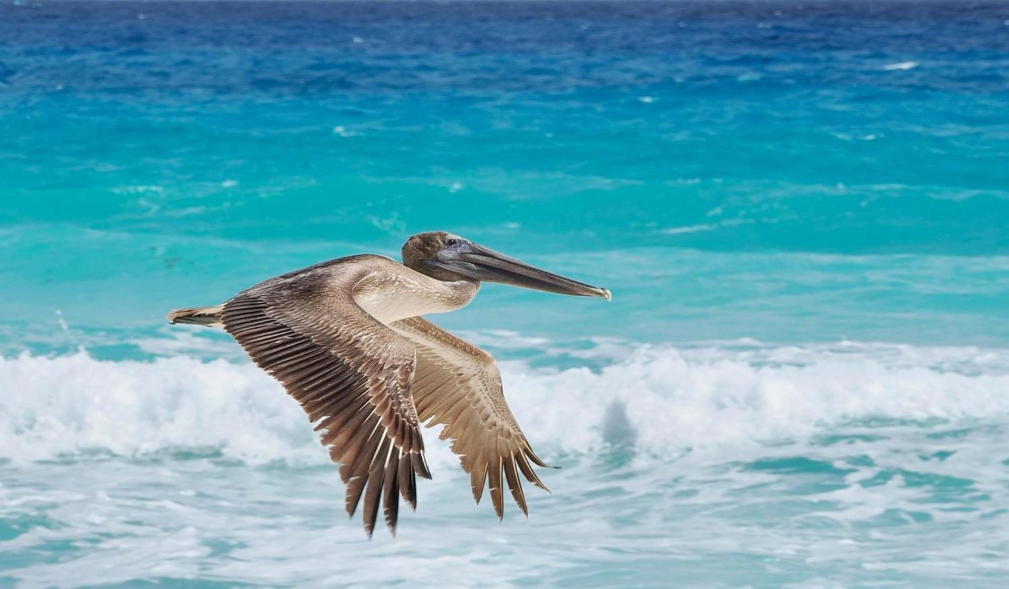 Solymar Beach Condos Cancún Kültér fotó
