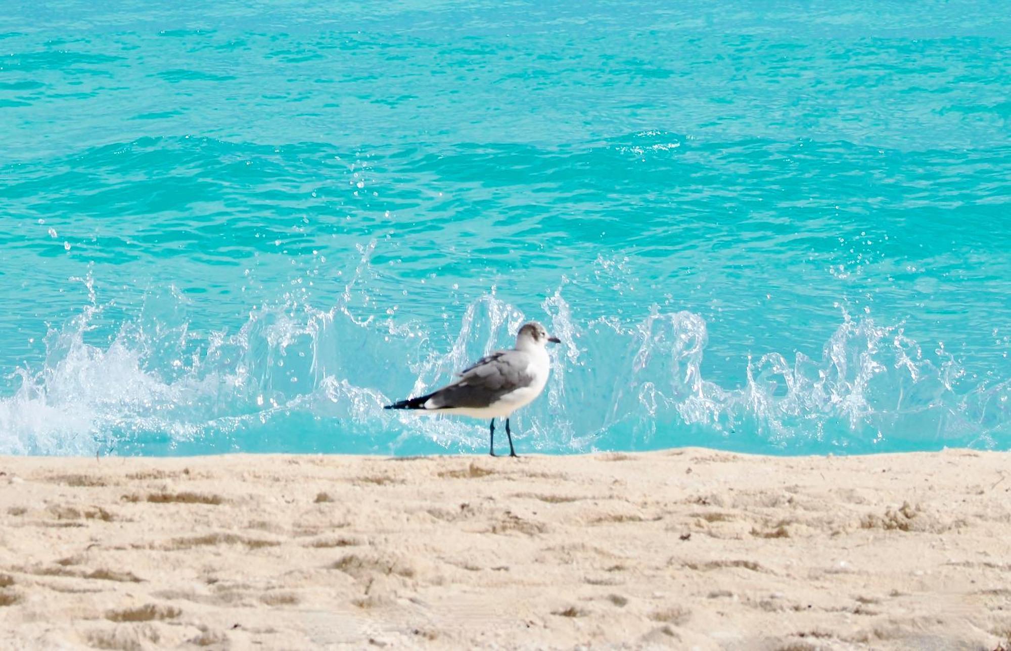Solymar Beach Condos Cancún Kültér fotó